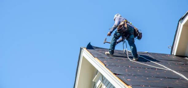 Best Storm Damage Roof Repair  in Ozark, AL